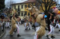 viškovo karneval 2026 c14