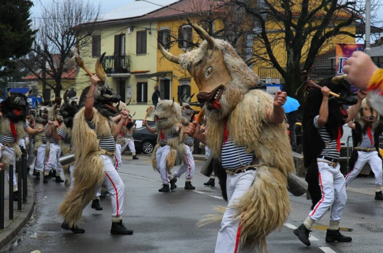 viškovo karneval 2026 c14