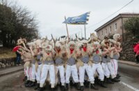 viškovo karneval 2026 c5