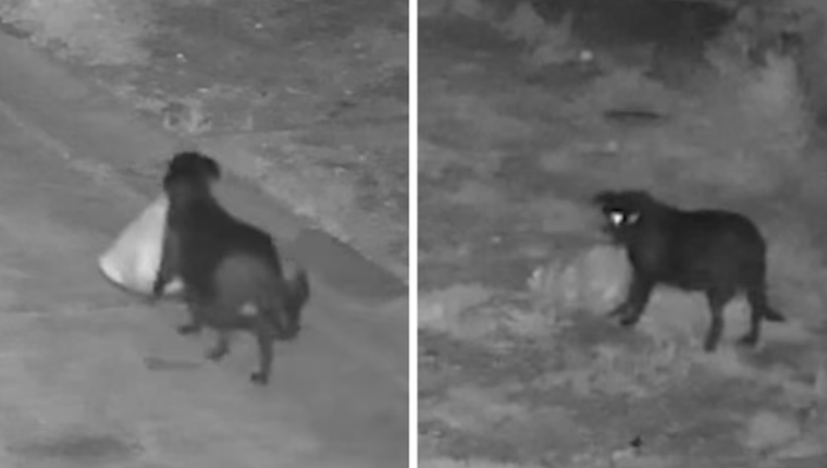 58a81e33-d401-4efe-8ad5-26bf8cbc0663