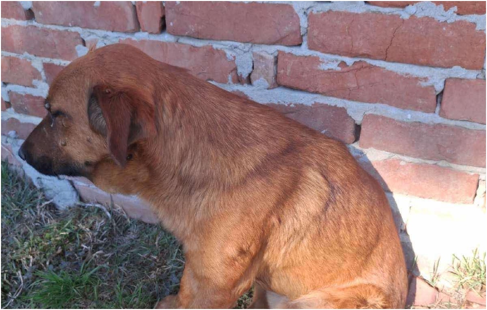 BeFunky-collage (31)