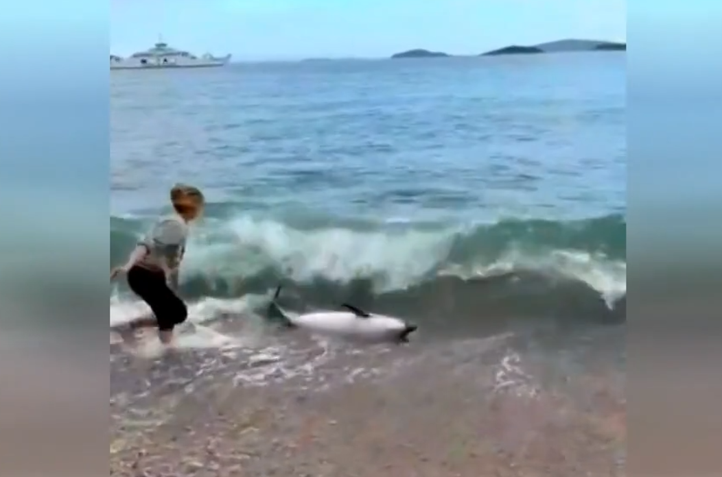 DUPIN SPAŠAVANJE RTL