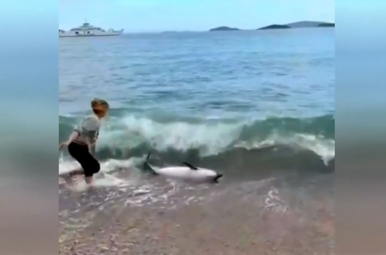 DUPIN SPAŠAVANJE RTL