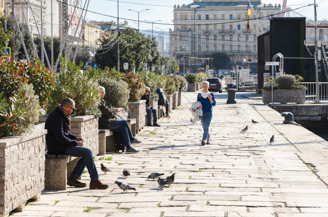 Ilustrativna 25.2.-8580