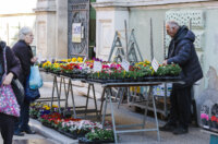 Ilustrativna 25.2.-8681 Ilustrativna 25.2.-8681