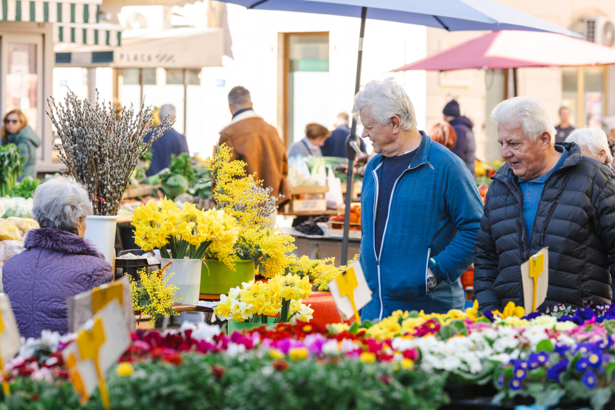 Ilustrativna 25.2.-8689 Ilustrativna 25.2.-8689