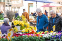 Ilustrativna 25.2.-8689 Ilustrativna 25.2.-8689