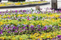 Ilustrativna 25.2.-8826 Ilustrativna 25.2.-8826