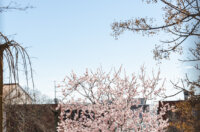 Ilustrativna 25.2.-8861 Ilustrativna 25.2.-8861