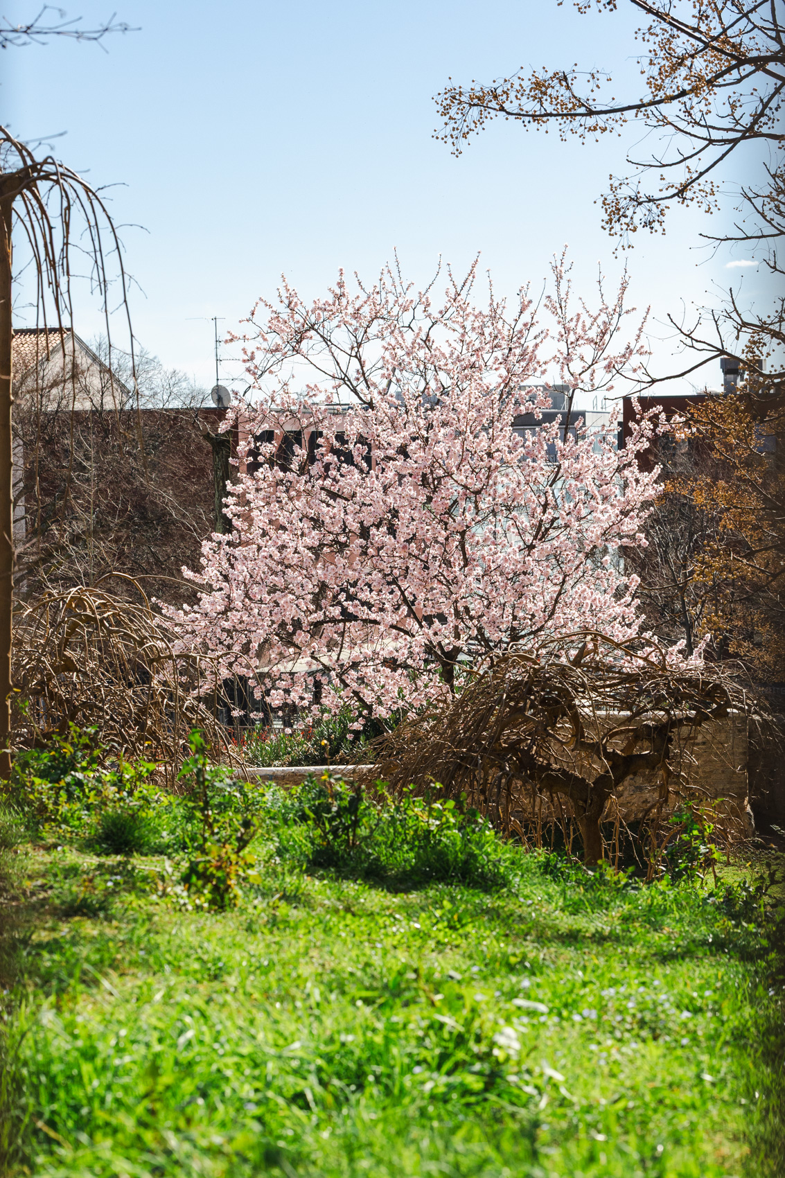 Ilustrativna 25.2.-8861 Ilustrativna 25.2.-8861