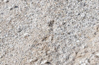 Ilustrativna 25.2.-8866 Ilustrativna 25.2.-8866