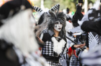 Karneval 2026-5288 Karneval 2026-5288