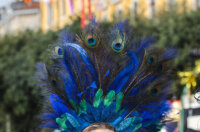 Karneval 2026-5442 Karneval 2026-5442