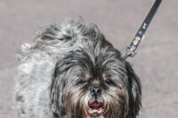 Klikom po Korzu 27.2.-9703