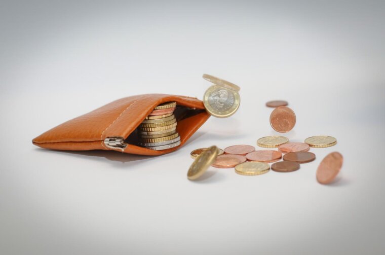 Novčanik za kovanice