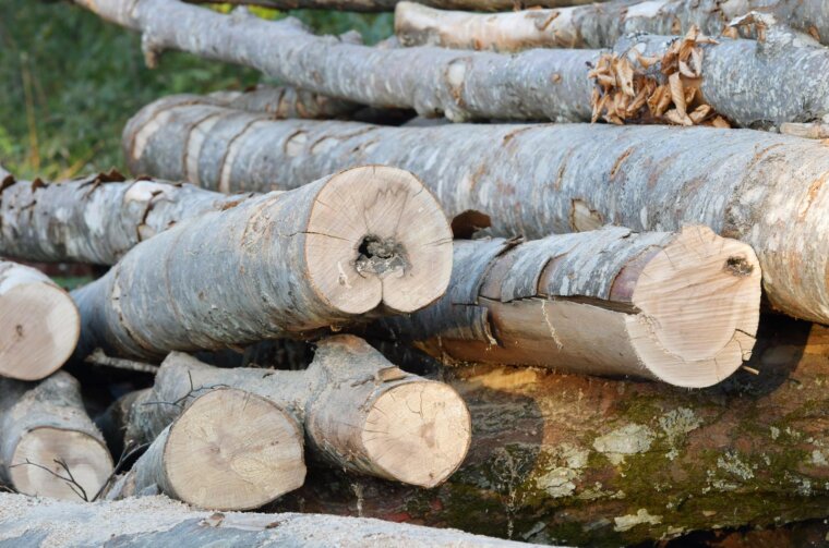 ibenik: Drva za ogrjev ibenik: Drva za ogrjev