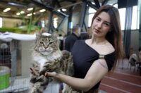 Rijeka: Međunarodna izložba mačaka