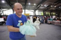 Rijeka: Međunarodna izložba mačaka