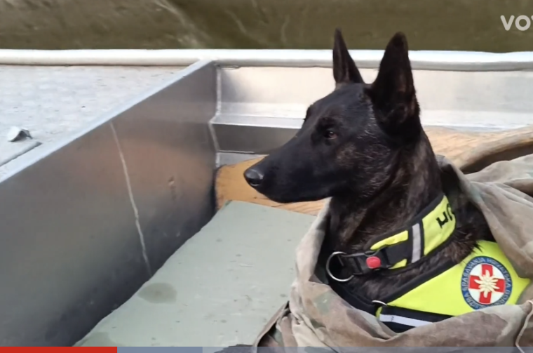 Screenshot 2026-02-22 at 13.46.32