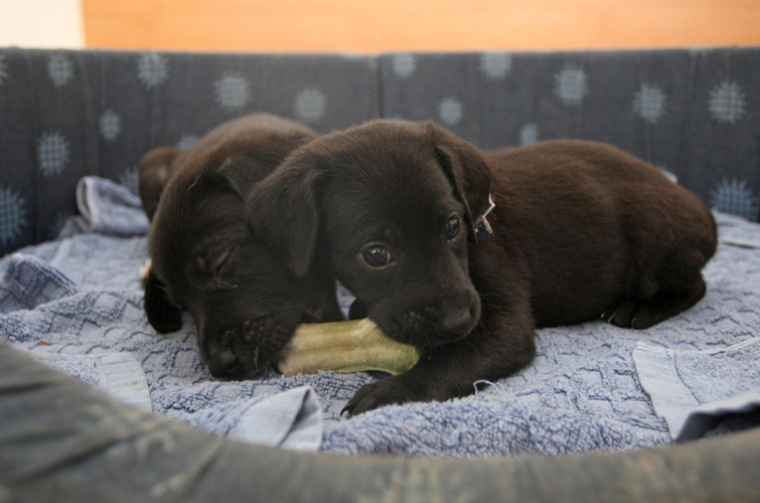 b340bbb2-3f76-4a82-9cf0-d0967e5a679f