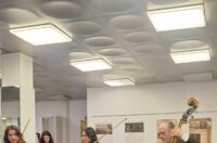 dan srbije u rijeci 14