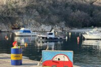 micel-lezeci-policijot