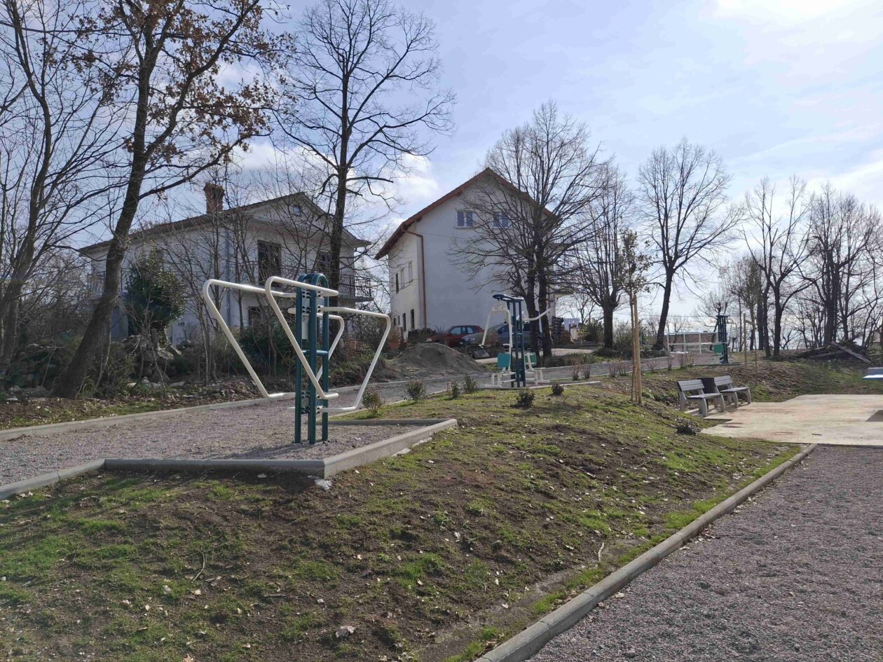 20260223_105008 20260223_105008