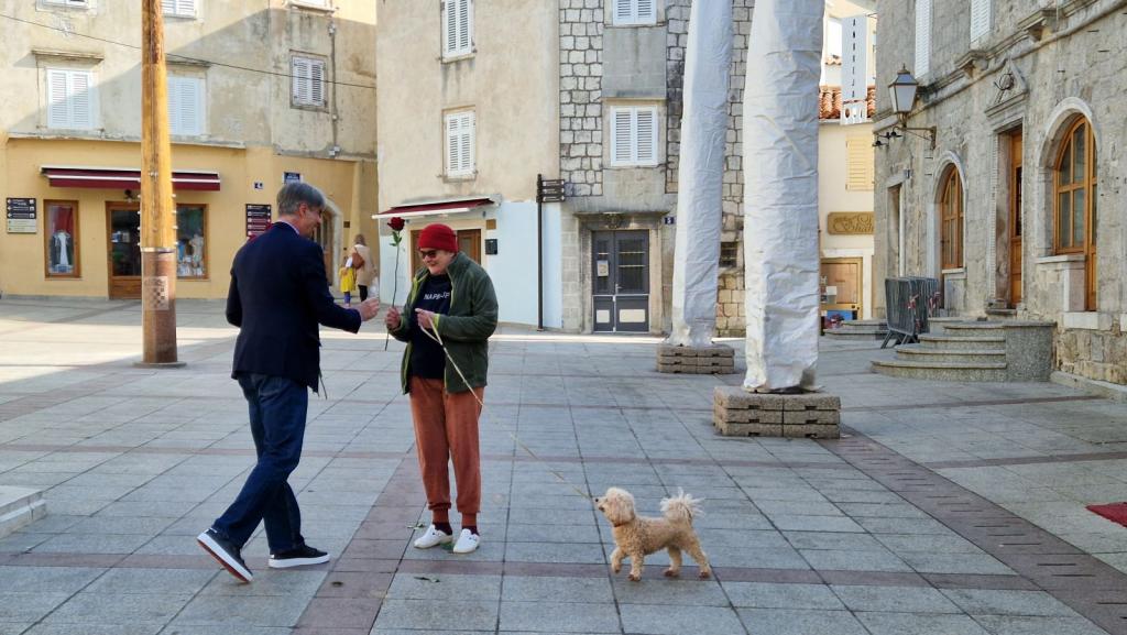 20260308_110541 20260308_110541