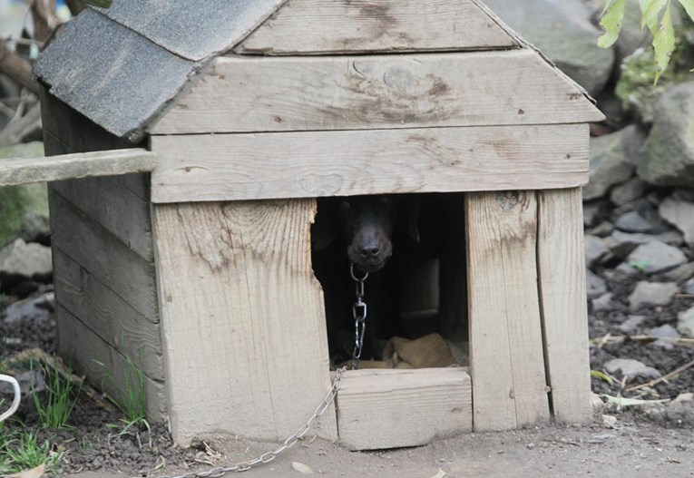 3c6262bc-0853-42f5-a6f4-a085b347e6f4