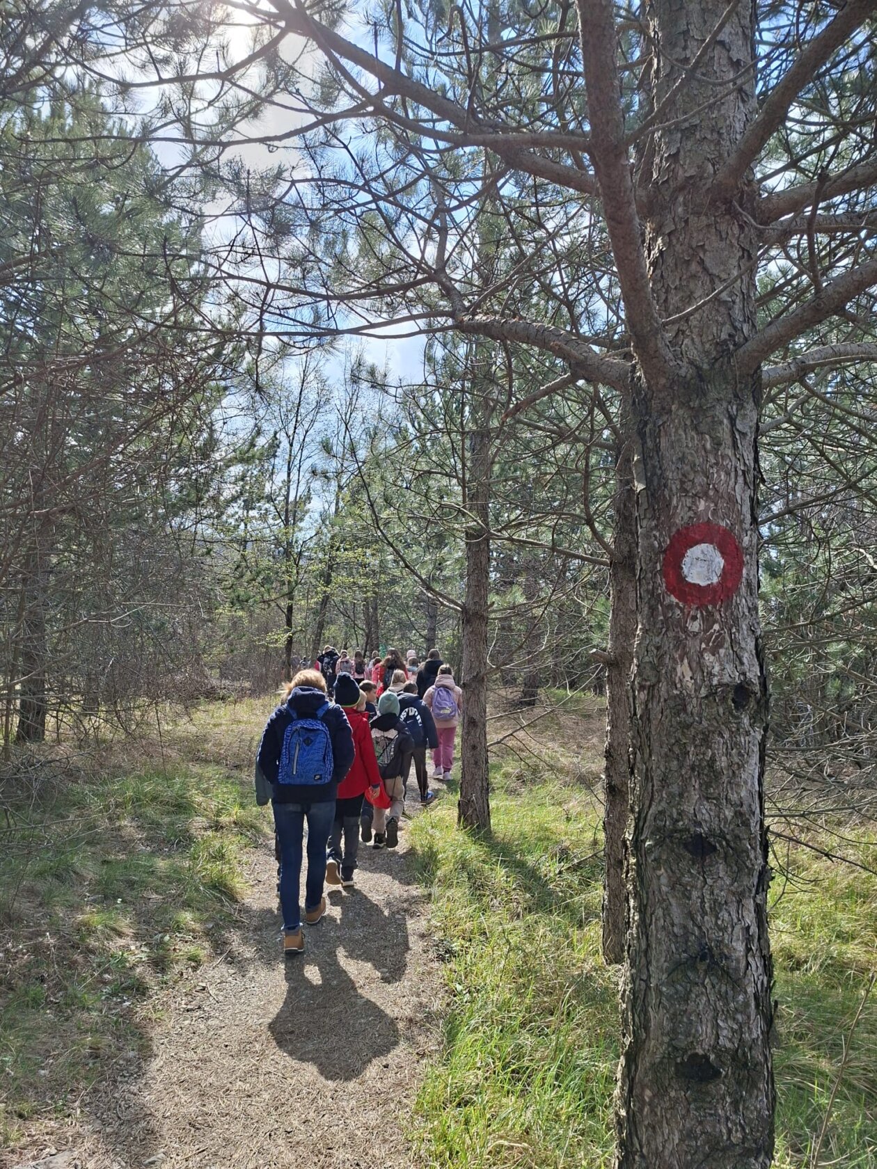 Obilježavanje Svjetskog dana šuma i Svjetskog dana voda