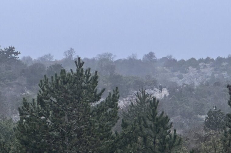 649045673_1352414096931506_7578479153639702233_n