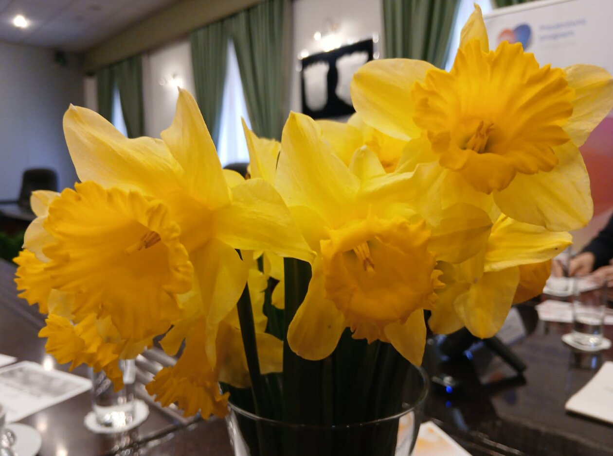 653709222_953165940577092_3950103386406121845_n