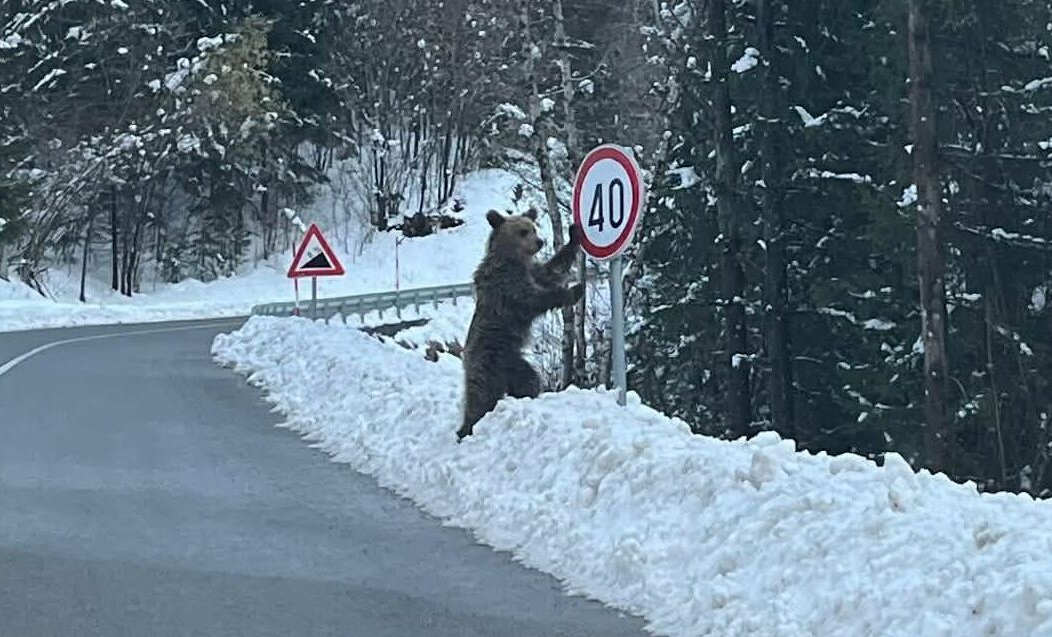 658434004_1384350220404024_5044885660671239916_n (1) 658434004_1384350220404024_5044885660671239916_n (1)