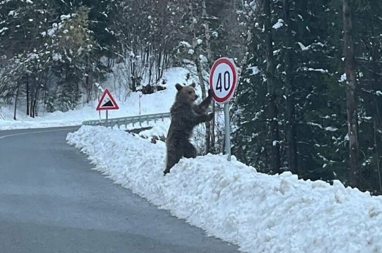 658434004_1384350220404024_5044885660671239916_n (1) 658434004_1384350220404024_5044885660671239916_n (1)