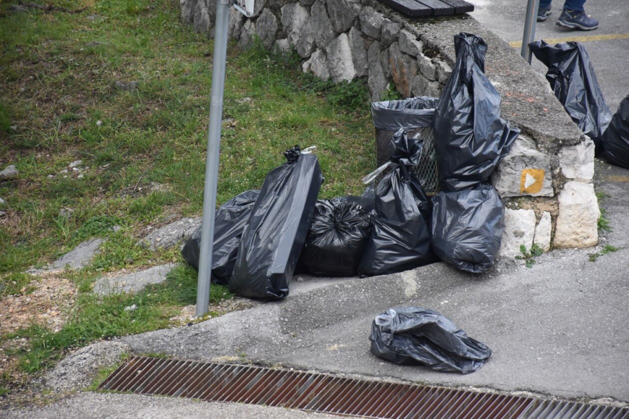 Obilježavanje Svjetskog dana šuma i Svjetskog dana voda