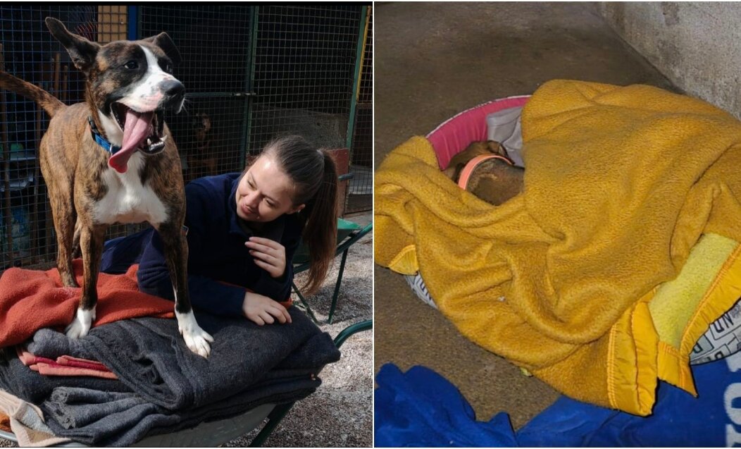 BeFunky-collage (23)