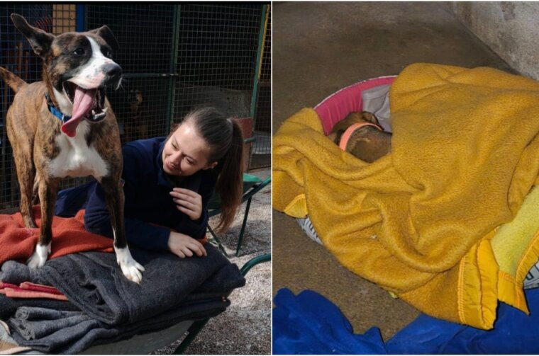 BeFunky-collage (23)