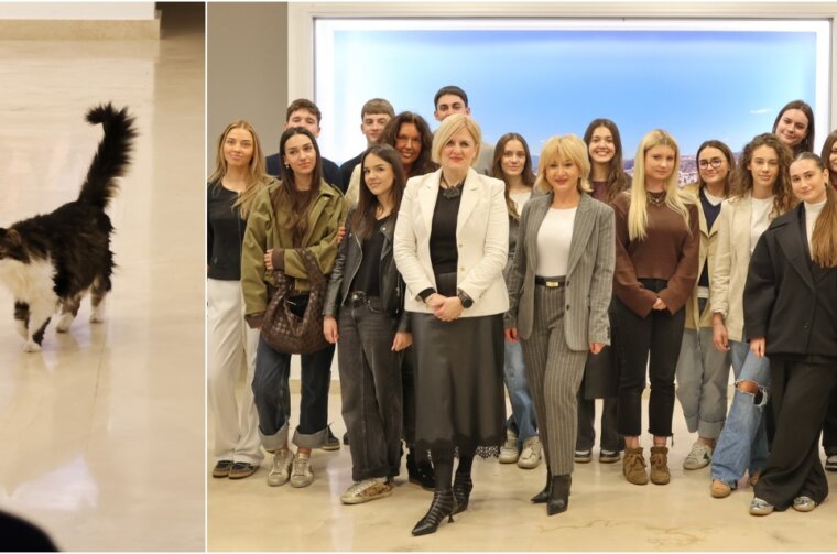 BeFunky-collage (33)