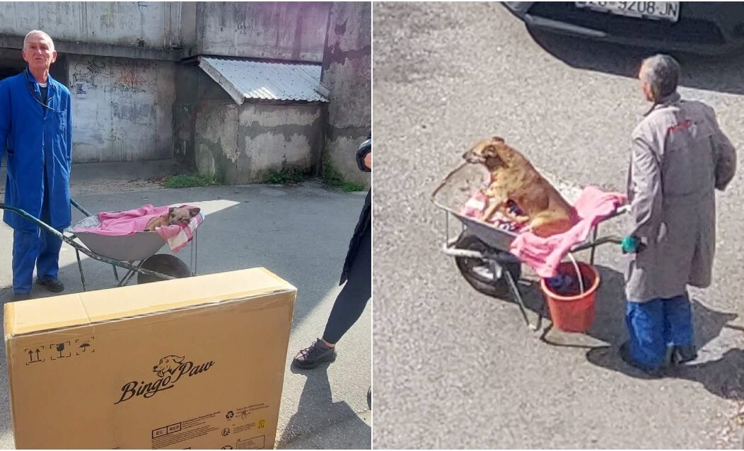 BeFunky-collage (51)