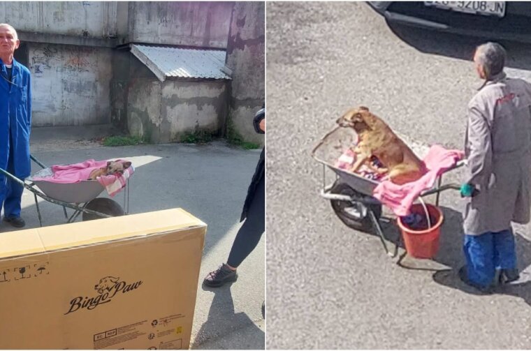 BeFunky-collage (51)