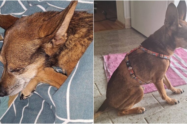 BeFunky-collage (52)