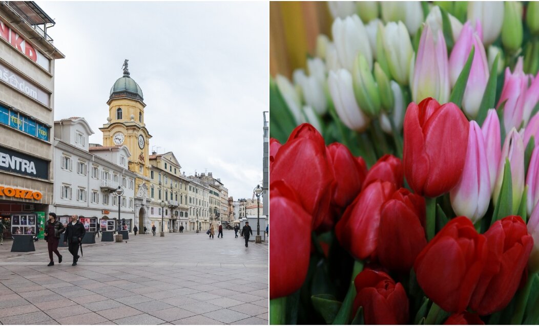 BeFunky-collage (58)