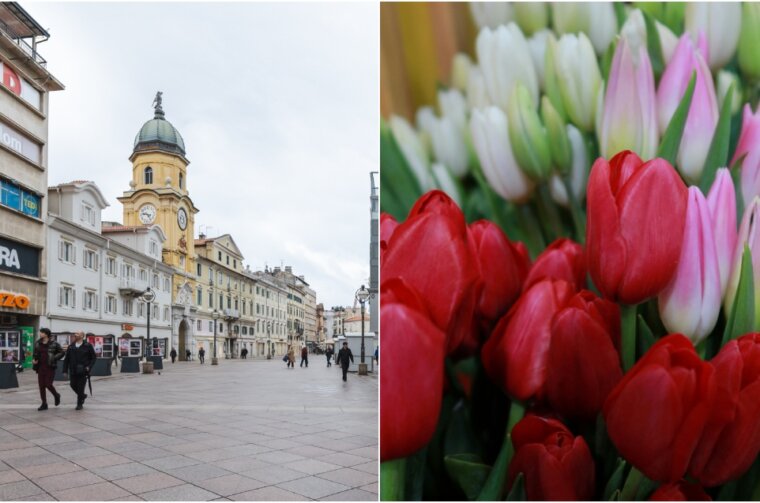 BeFunky-collage (58)