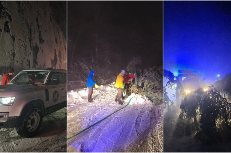 BeFunky-collage (65) BeFunky-collage (65)