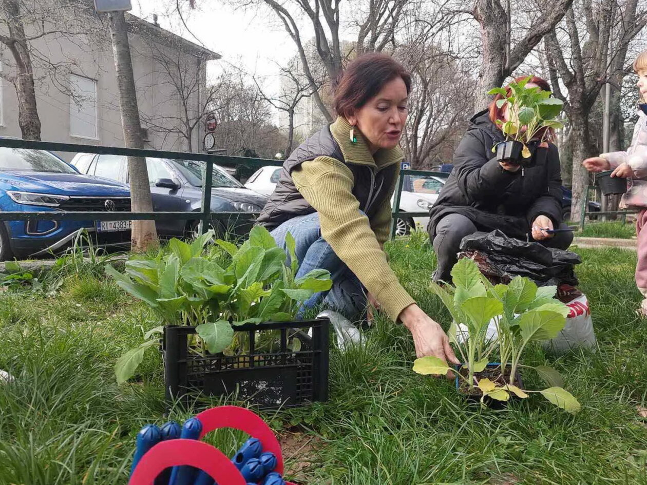 Ekoakcija-na-Kozali-8