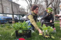 Ekoakcija-na-Kozali-8