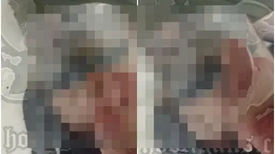 H-1ea09bc8-e147-491f-981f-8664fed02243-550