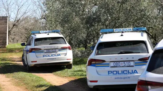 H-224c8f24-a35f-4f19-8d95-bb76153d64b0-550 H-224c8f24-a35f-4f19-8d95-bb76153d64b0-550