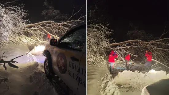 H-31bc6235-0969-41a4-8a12-46718178dd10-550 H-31bc6235-0969-41a4-8a12-46718178dd10-550