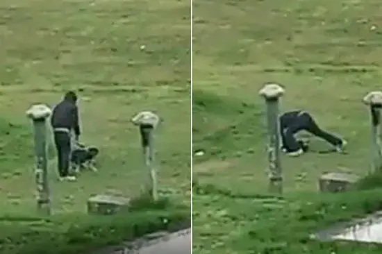 LS-714ec260-6799-488f-afae-cf952bd8d14d-550 LS-714ec260-6799-488f-afae-cf952bd8d14d-550